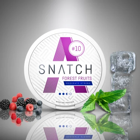 Snatch forest fruits 10mg nikotiinipussi